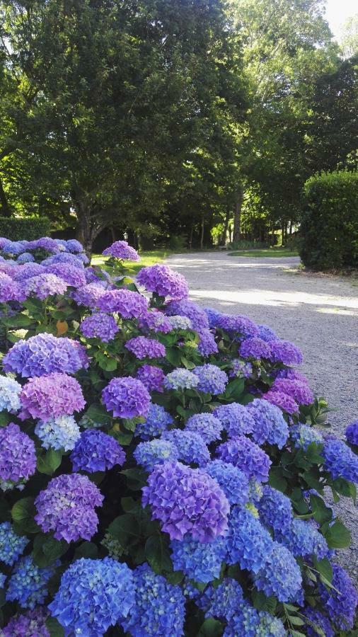 Domaine Du Plessis Grimaud Bed & Breakfast Saint-Viaud Dış mekan fotoğraf